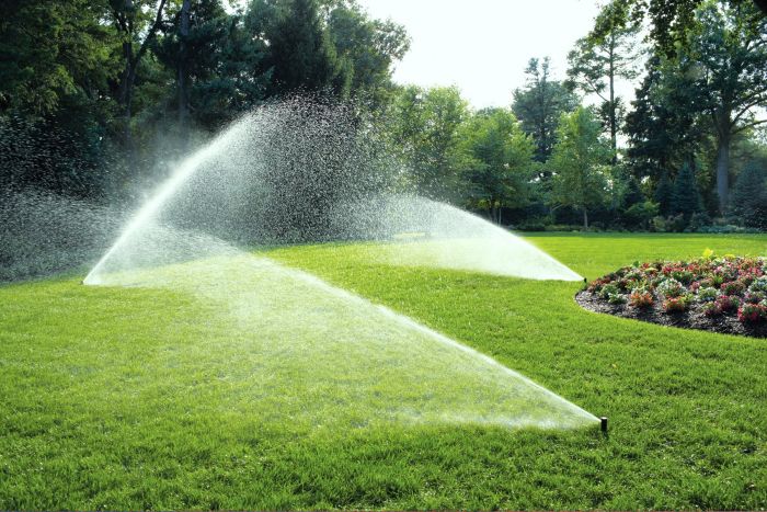 green_drop_bewasserung_5_1_1_1